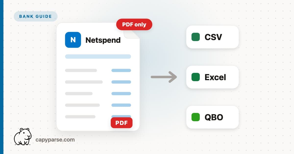 Netspend Statements Are PDF-Only. Get CSV in 10 Seconds.