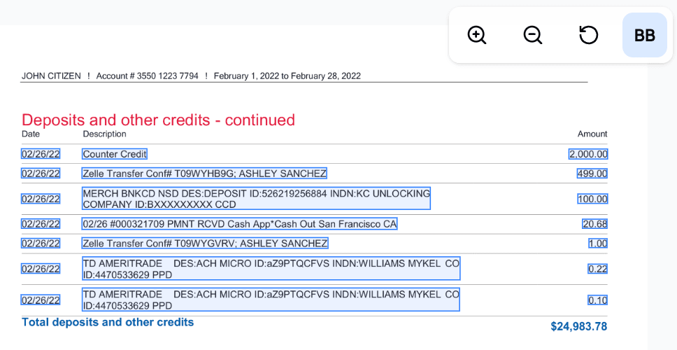 Analyzed bank statement with extracted data